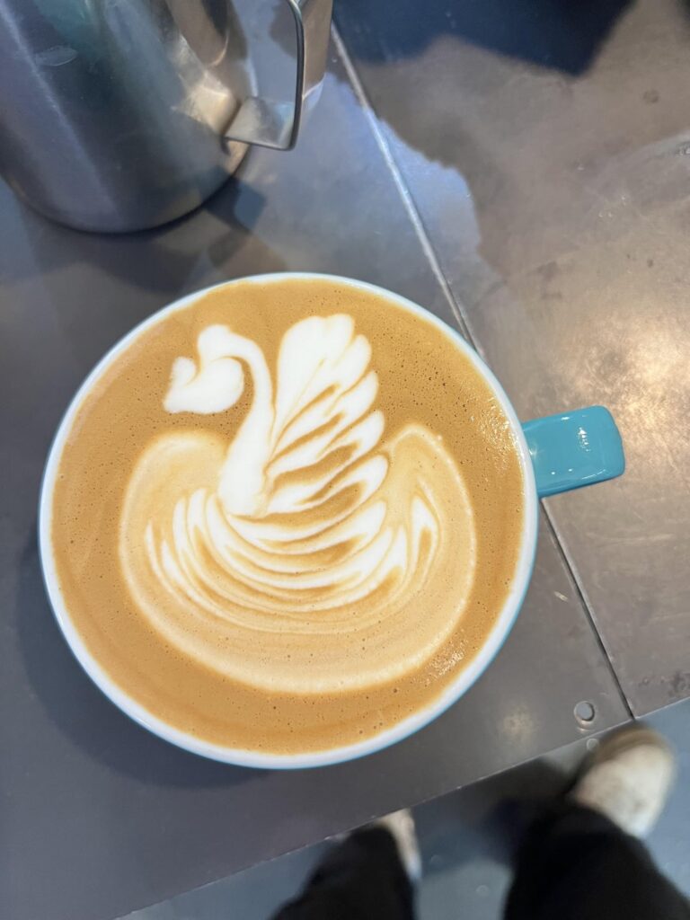How do I improve my swans? (6 months experience)
