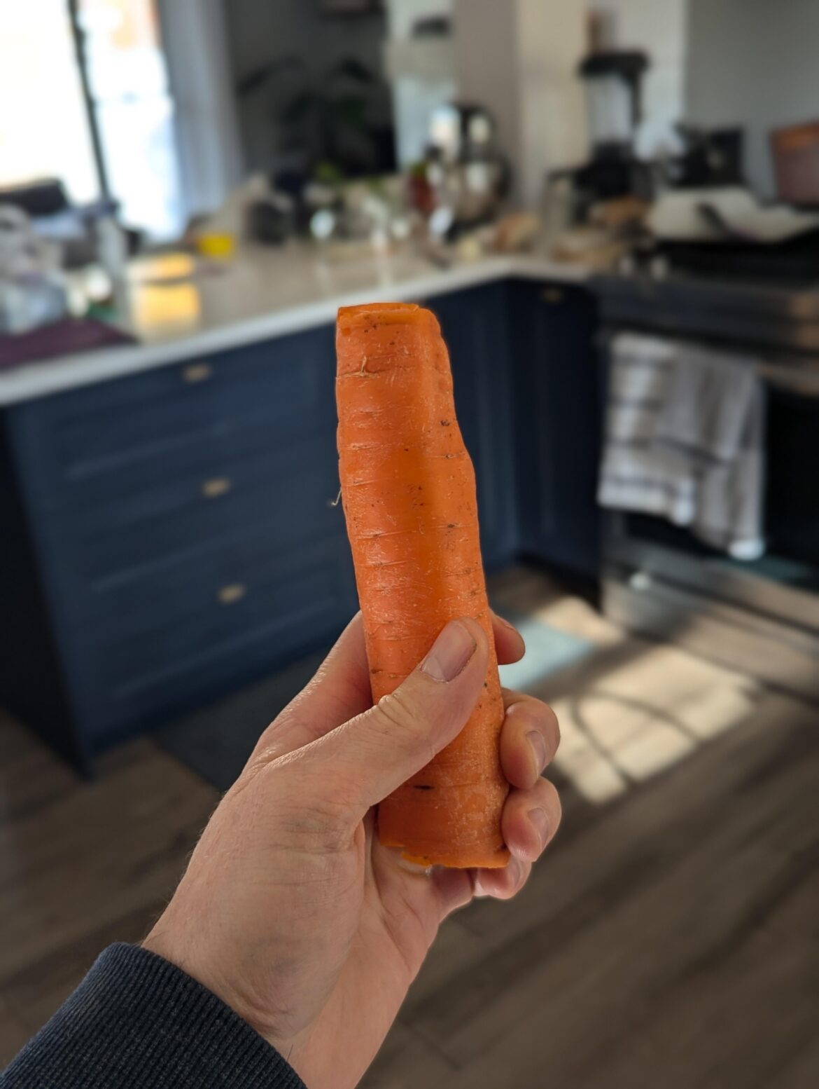 Just want to give a shout out to the simple carrot, for being an awesome grab an go snack.