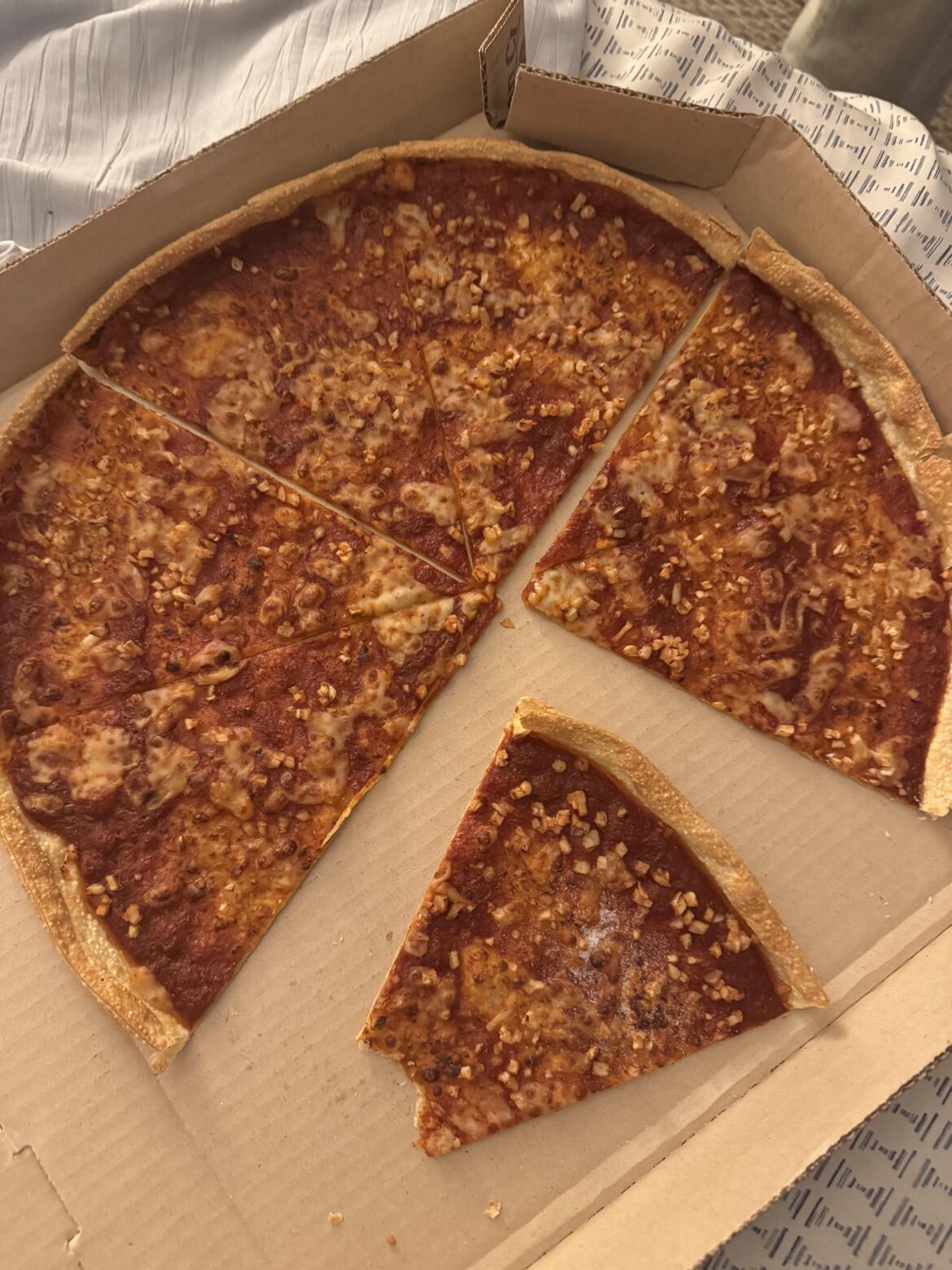 Light cheese thin crust with garlic..thoughts?