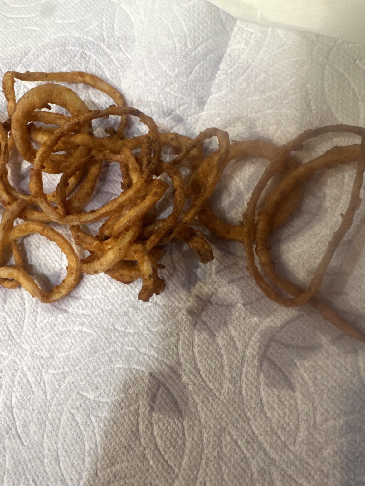 finally mastered fried onions.