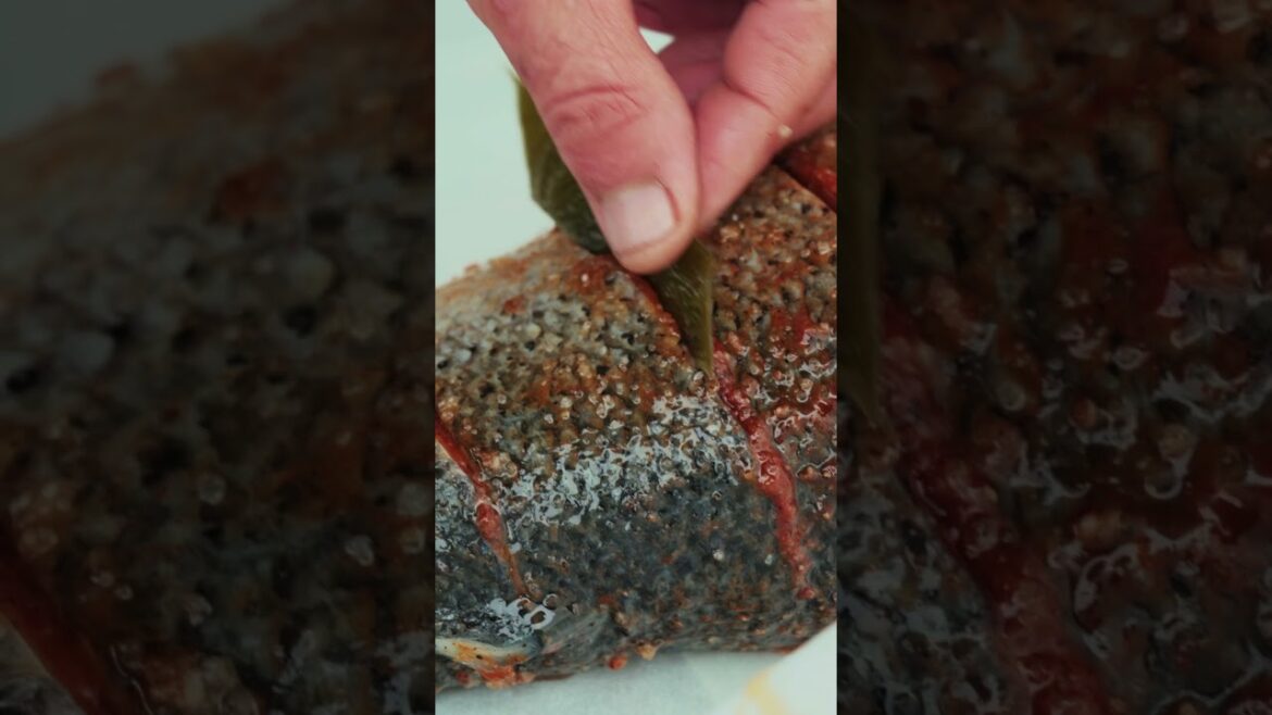 Wilderness-Cooked Salmon Salt Recipe! Taste Like Never Before! Wilderness-Cooked Salmon Salt Recipe! Taste Like Never Before!