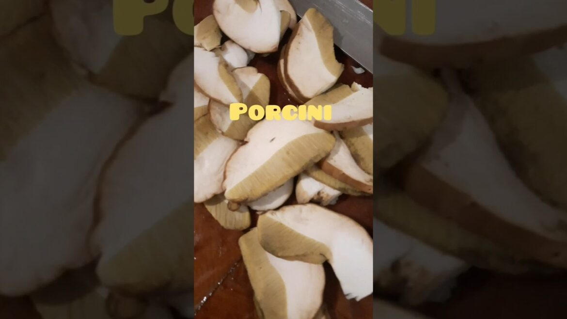 Mushroom risotto 2 / porcini and lactarius deliciosus