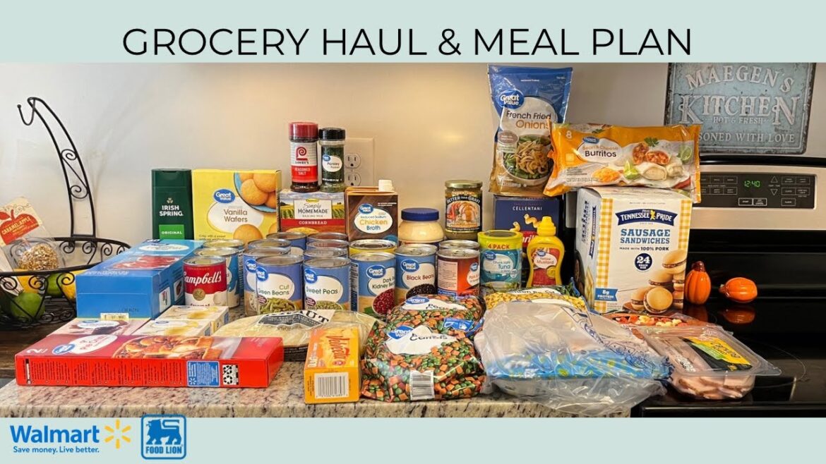 GROCERY HAUL & MEAL PLAN | BUDGET FRIENDLY | WALMART | FOOD LION | DINNER MENU IDEAS | FAMILY OF TWO