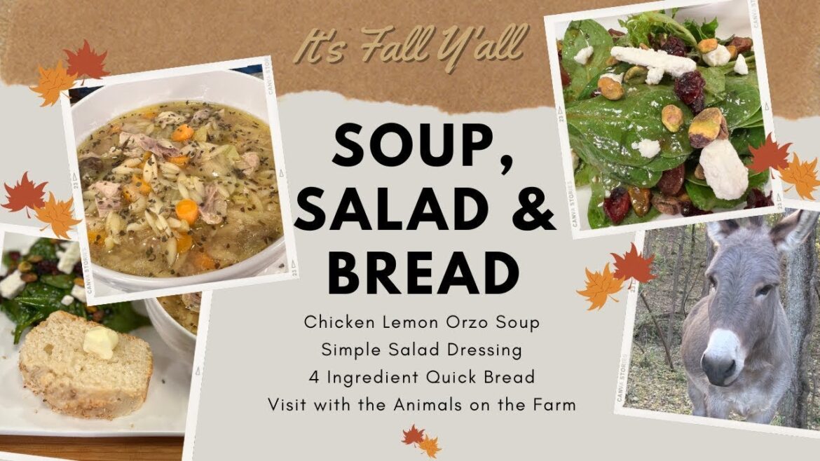 Chicken Lemon Orzo Soup, 4 Ingredient Quick Bread & Homemade Salad Dressing (#1237)