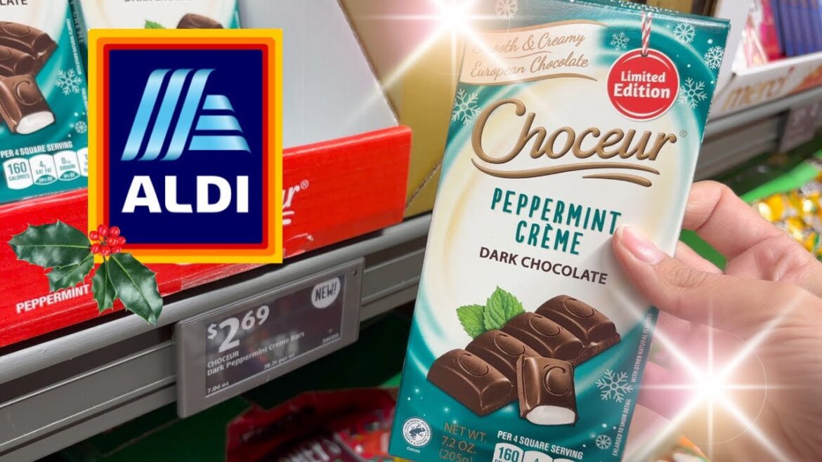 Sweet, Fun Finds & Weekly Family ALDI Grocery Haul!!