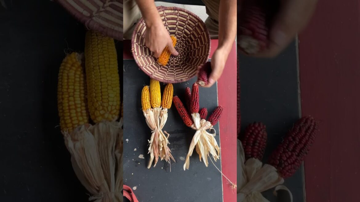 Living off the Land: week 1 recap #growyourownfood #offgridliving #urbanhomesteading