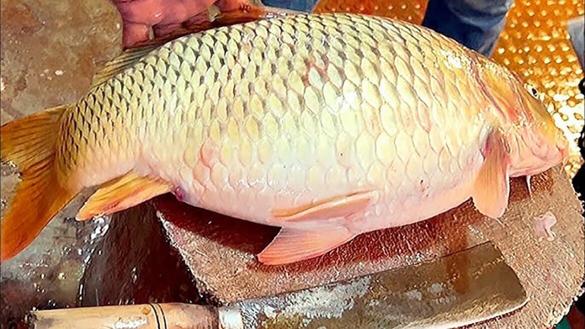 I Never Seen!!! Giant Carp Fish Cutting Live In Fish Market | Fish Cutting Skills