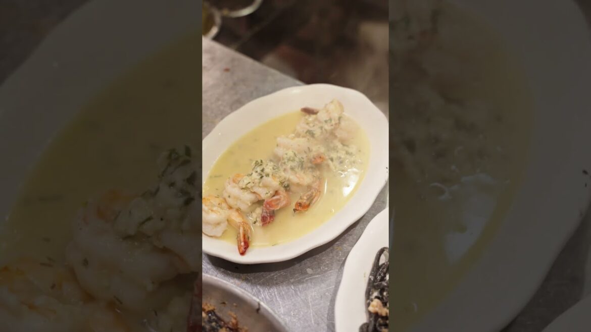 The Best Shrimp Scampi - The Daily Catch North End