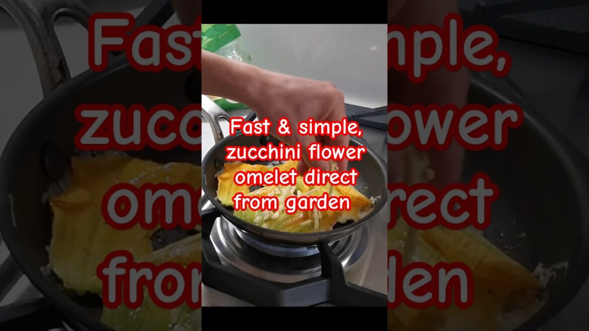 Make yummy garden zucchini flower cheese omelet #zucchini #zucchiniflower #vegetablegardening