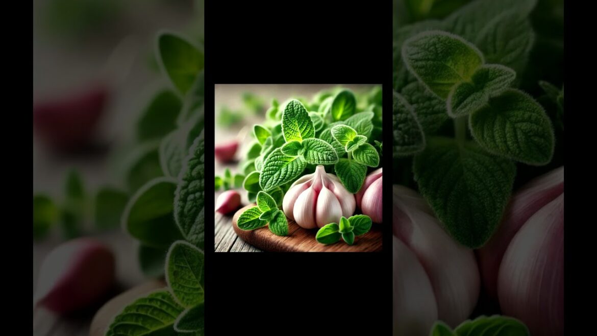 Perfect Pairings with Garlic. Easy Healthy Recipes.