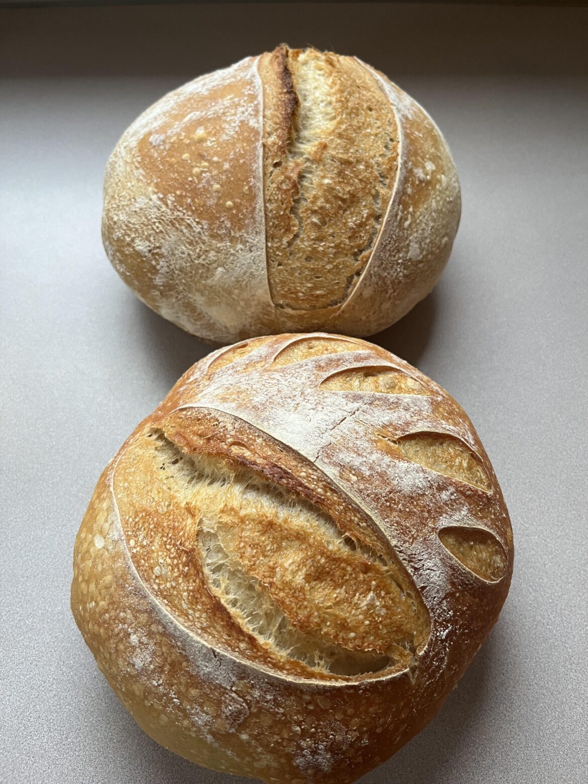 First time loaves, seeking re-feeding advice