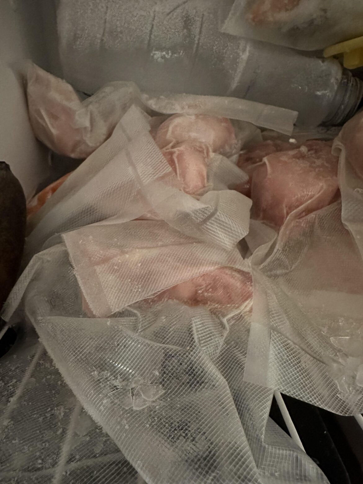 Recommendations for canning gator meat? Recommendations for canning gator meat?