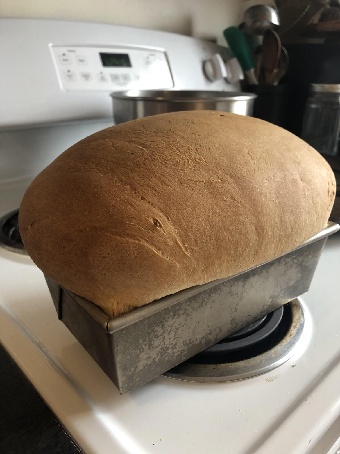 The mega loaf. This what happens when you overlooked the instruction that the recipe is for two loafs