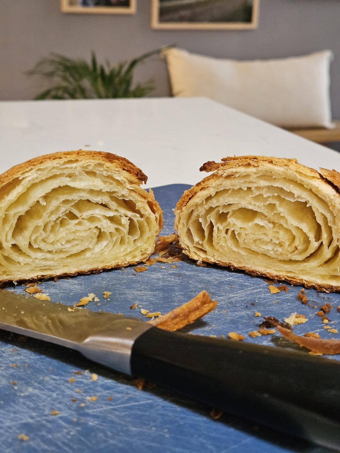 Made croissants for the first time today, ngl I'm really proud.
Looking for constructive criticism :)