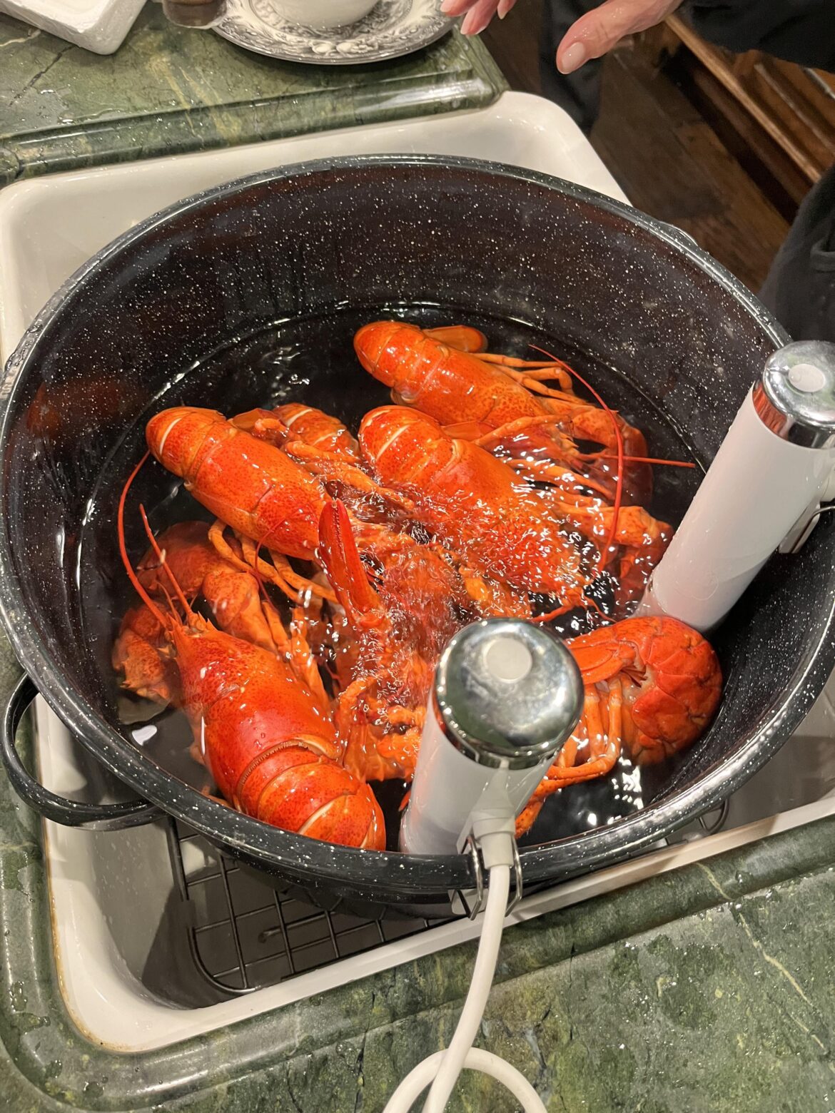 Reheating Lobsters shipped in from Maine with this insane setup