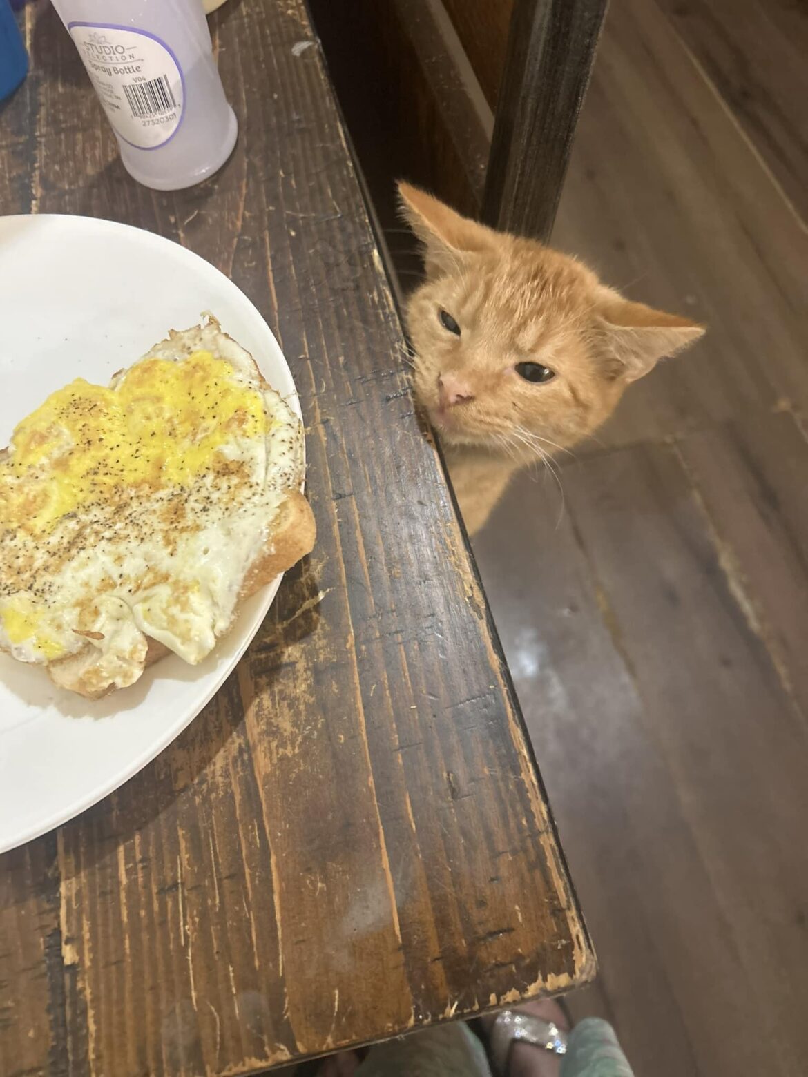 toast with eggs - me and my ginger love it!