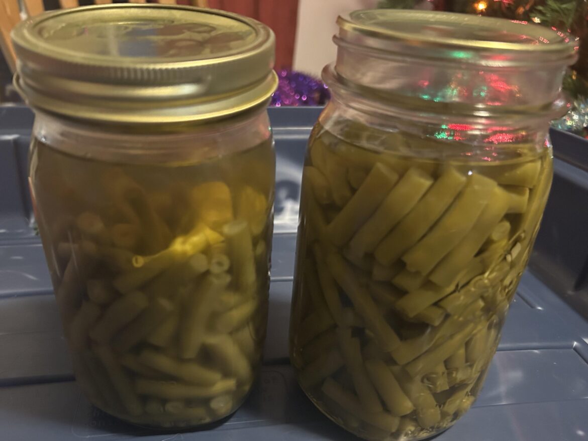 Green beans didn’t seal Green beans didn’t seal