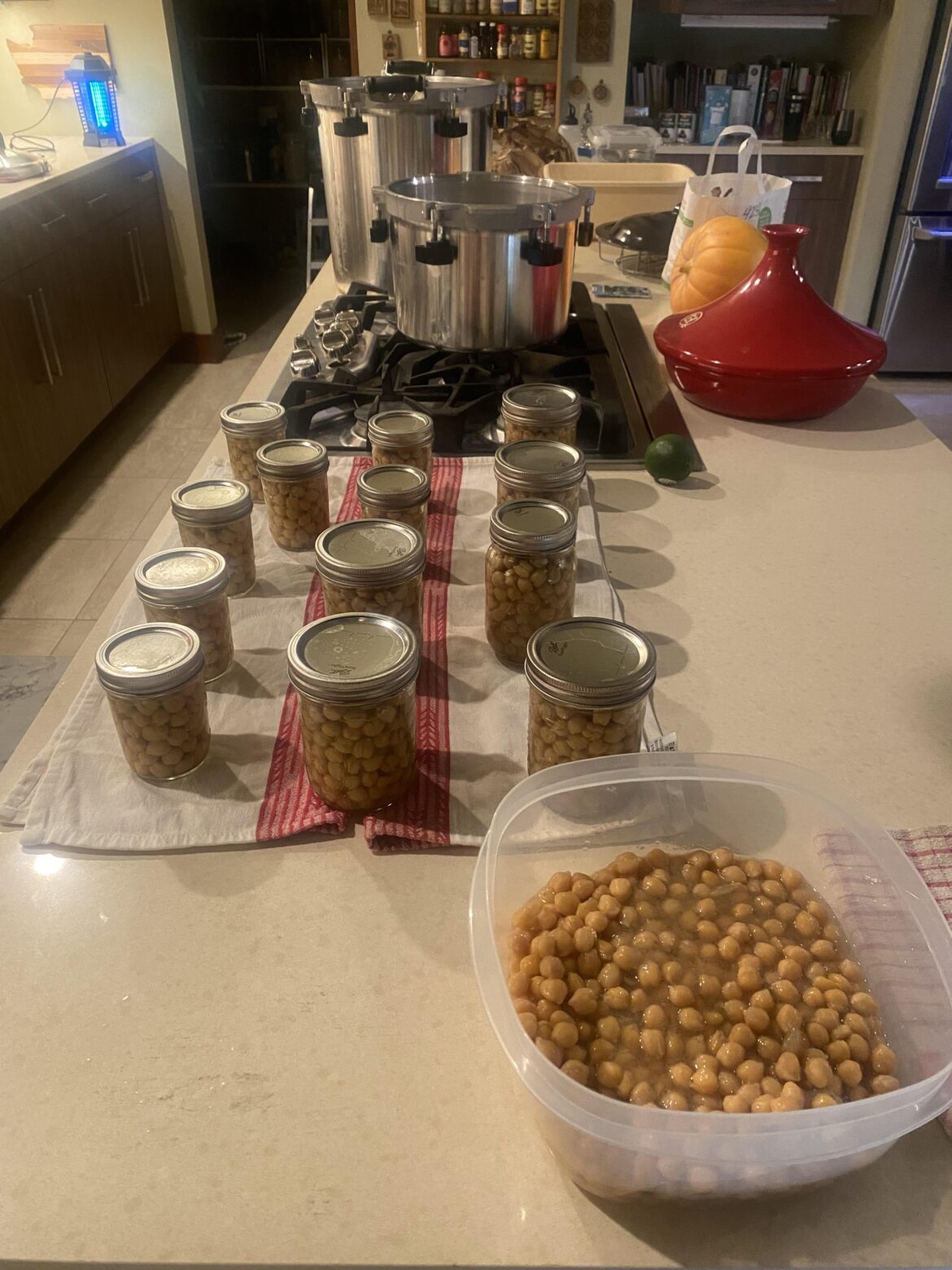 I Definitely Overshot the Runway Today! I Definitely Overshot the Runway Today!