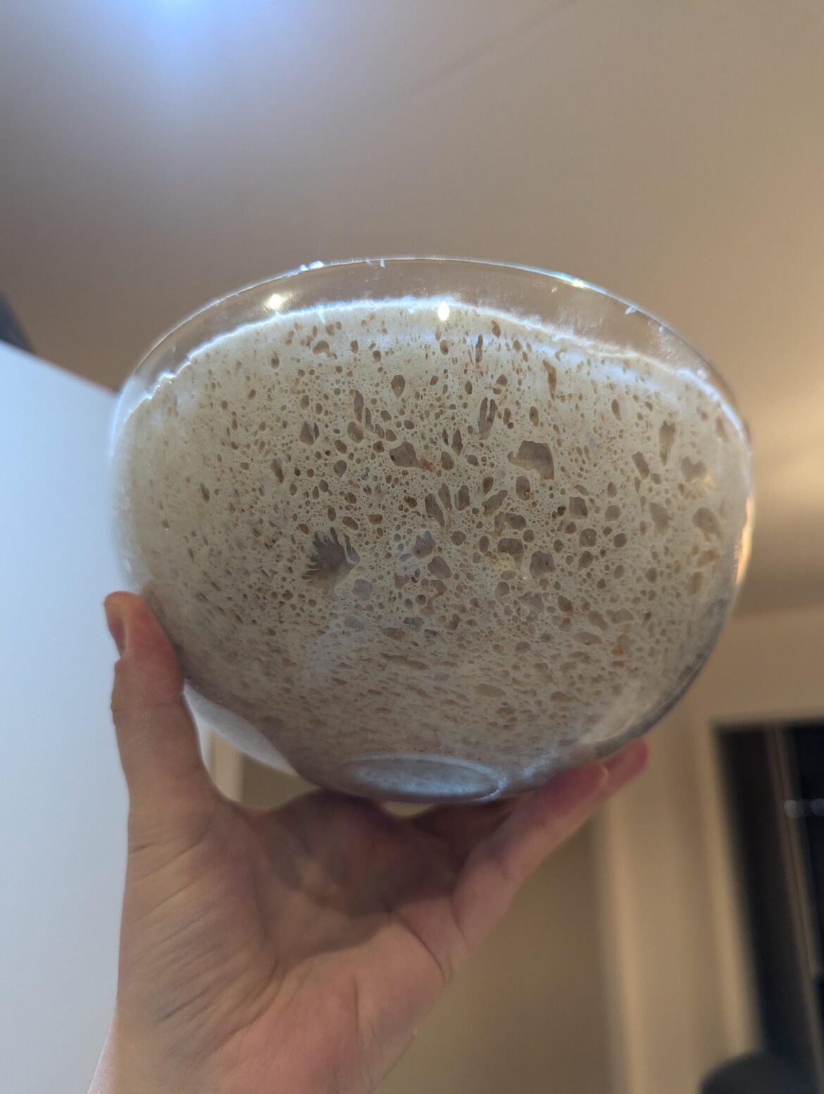 Just a proud beginner