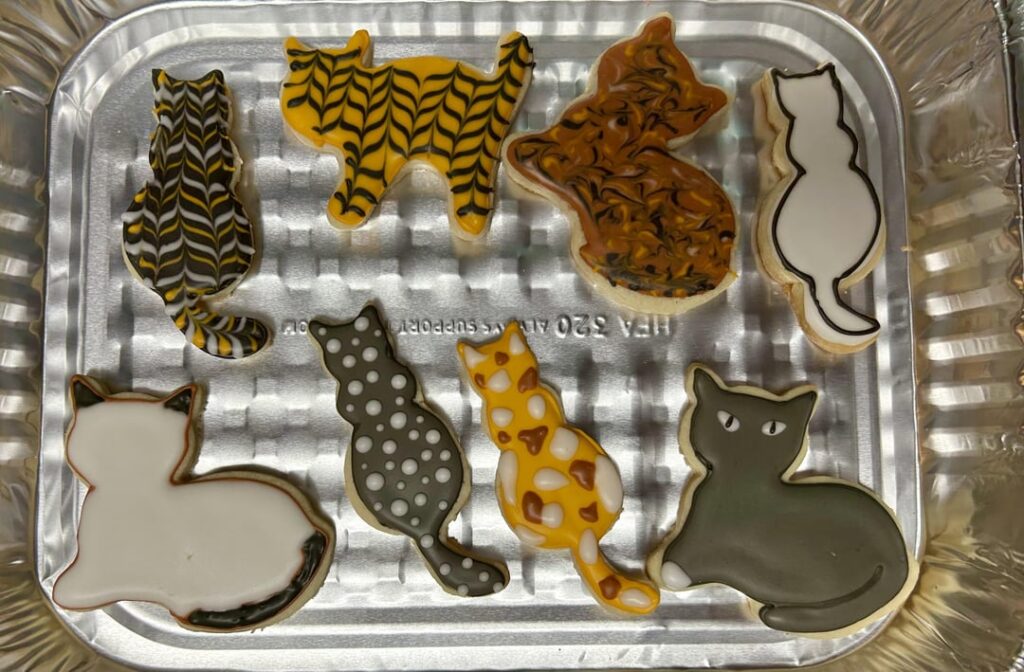 2nd at home attempt! Online courses you’d recommend?