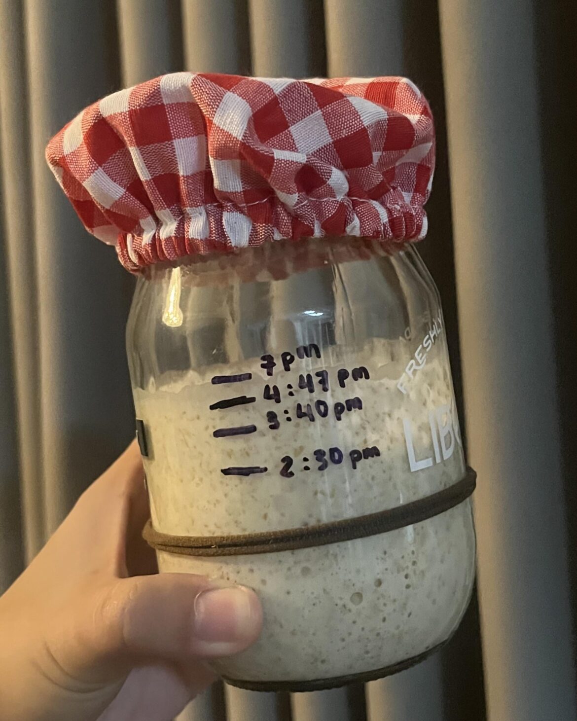 Can confirm that whole wheat flour can really transform your 23-day-old starter from zero to hero!