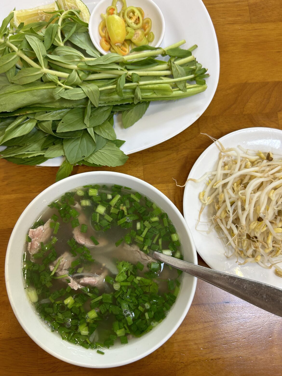 Some northern style pho in southern Vietnam. Not sure what the green veg was