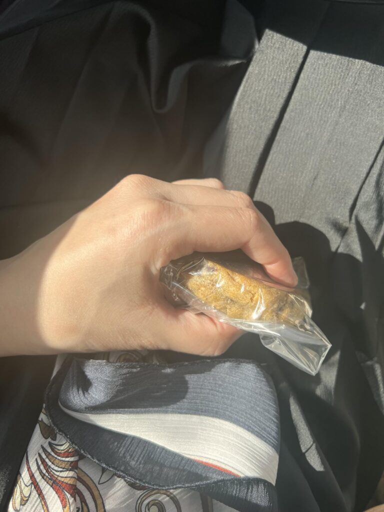 Cookie and cocoa with regular milk