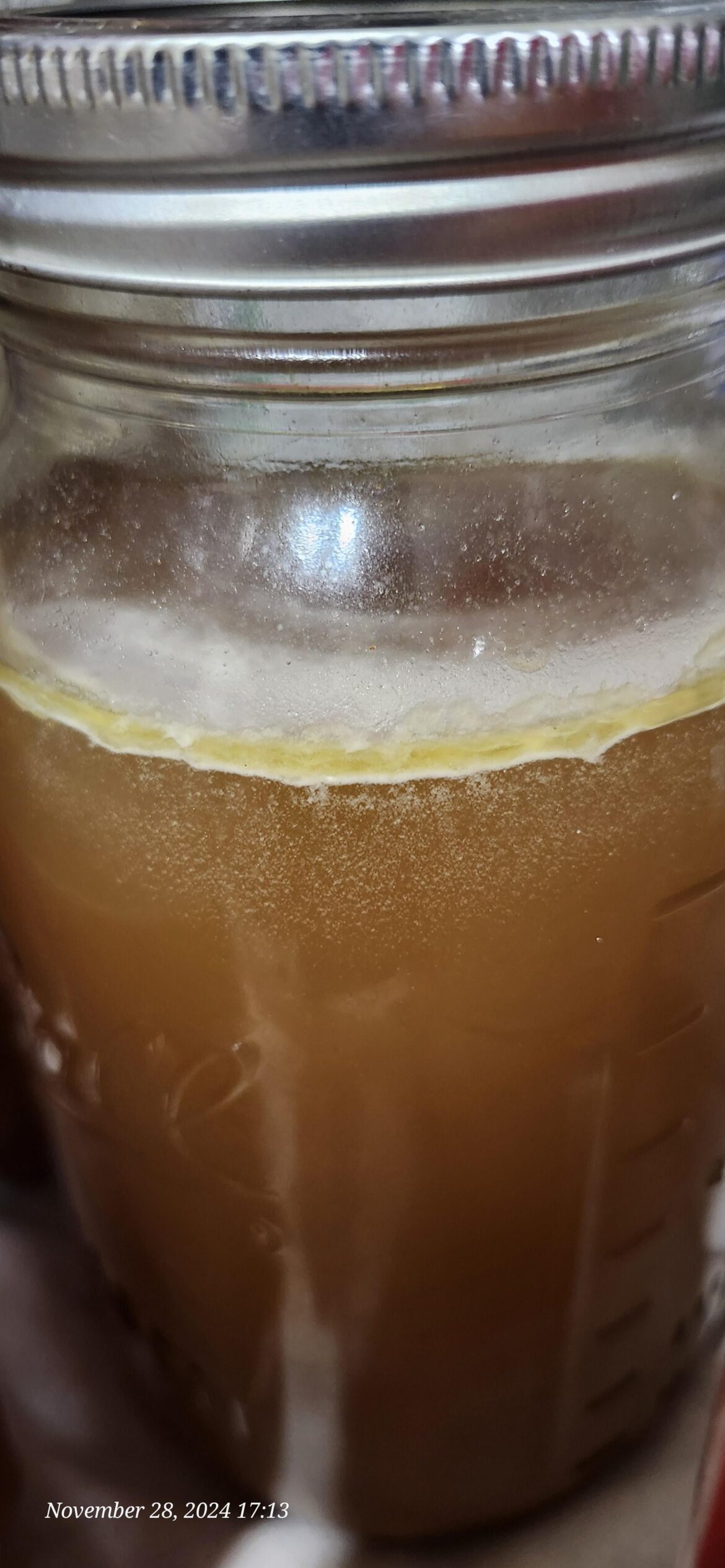 What is this white film on my turkey stock