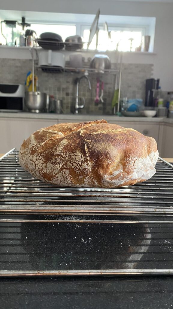 My first sourdough failed but didn’t really