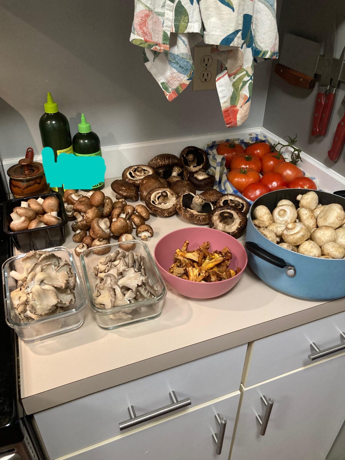 Can I mix and match different types of mushrooms for mushroom soup? Which ones are a waste to use in a  soup? Can I freeze mushrooms?
