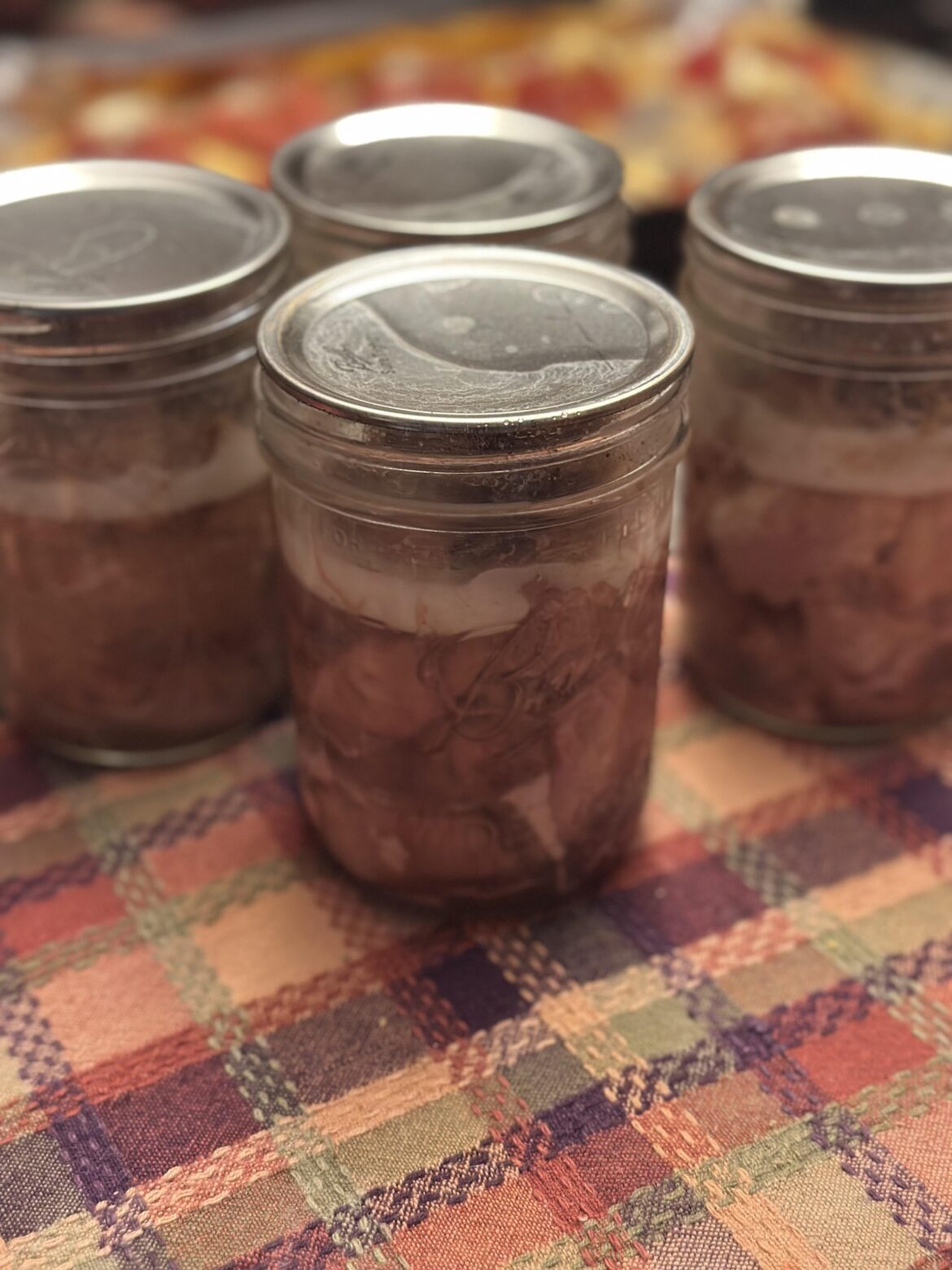 Judge my butt (pork)