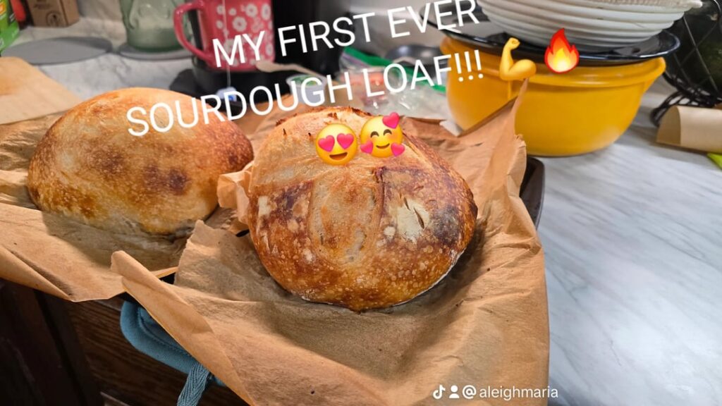 My first ever loaf!! Advice? (Check out the crumb on this!)