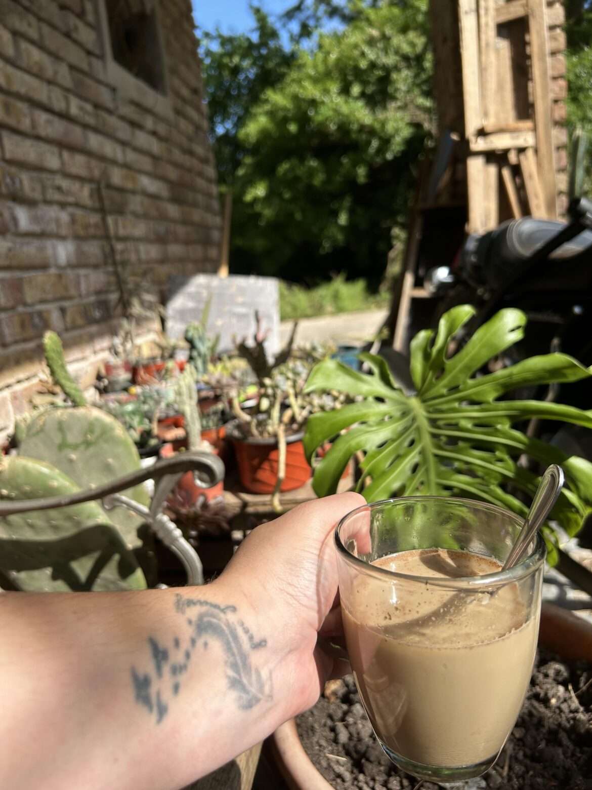 My coffee in the sun