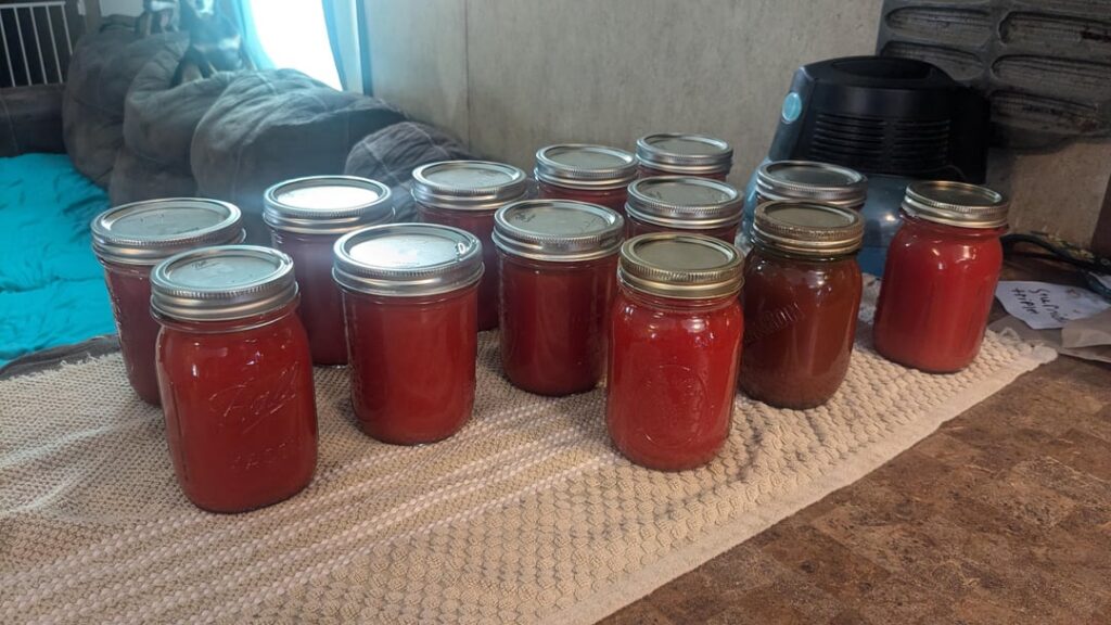 Tomatoes 🍅🍅🍅 Tomatoes 🍅🍅🍅