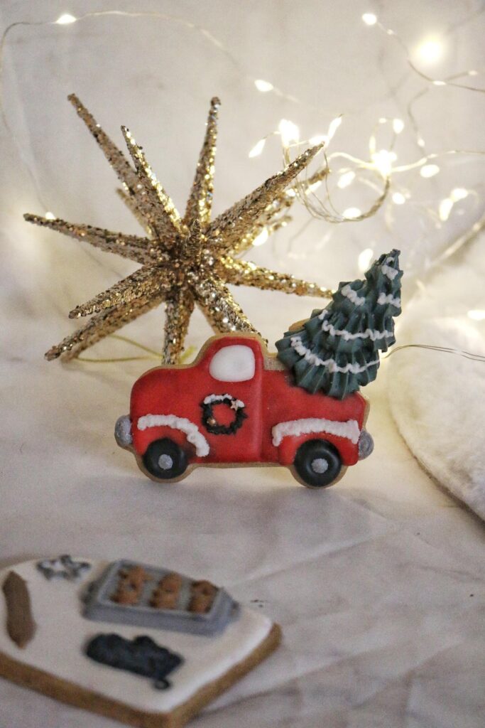 2024 xmas collection 🎄🌟