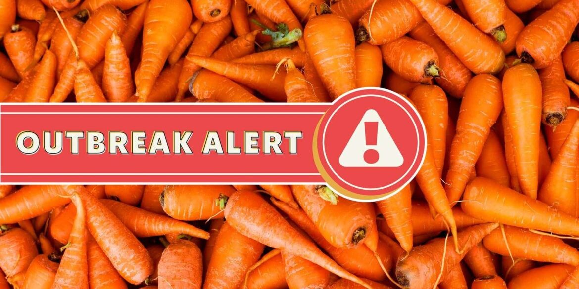 FDA Investigating Deadly E. Coli Outbreak Linked to Carrots Sold at Aldi, Trader Joe’s, Walmart, and More