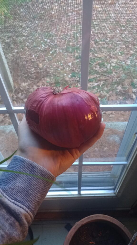 Guess what was inside my big onion