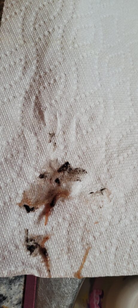 Rhubarb Strawberry jam mould?