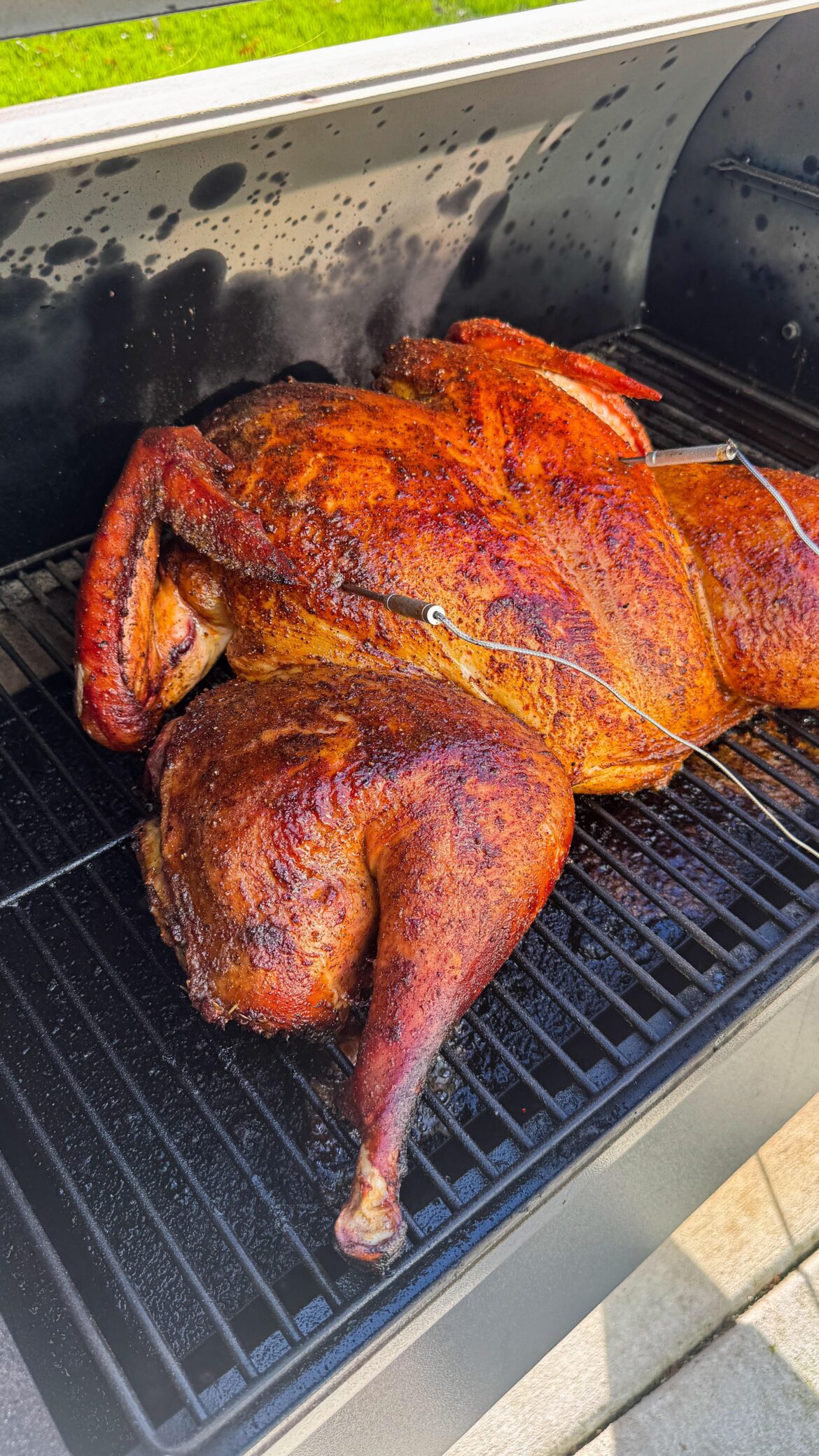 31 pound Spatchcock …