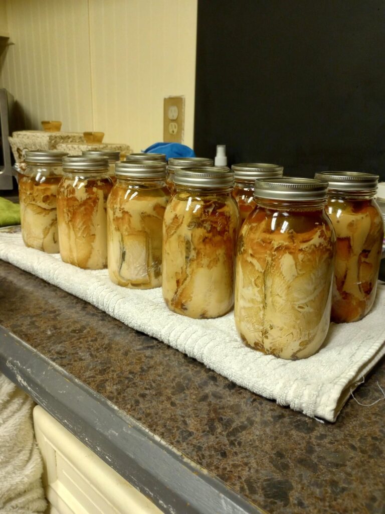 New to canning. Need advice! New to canning. Need advice!