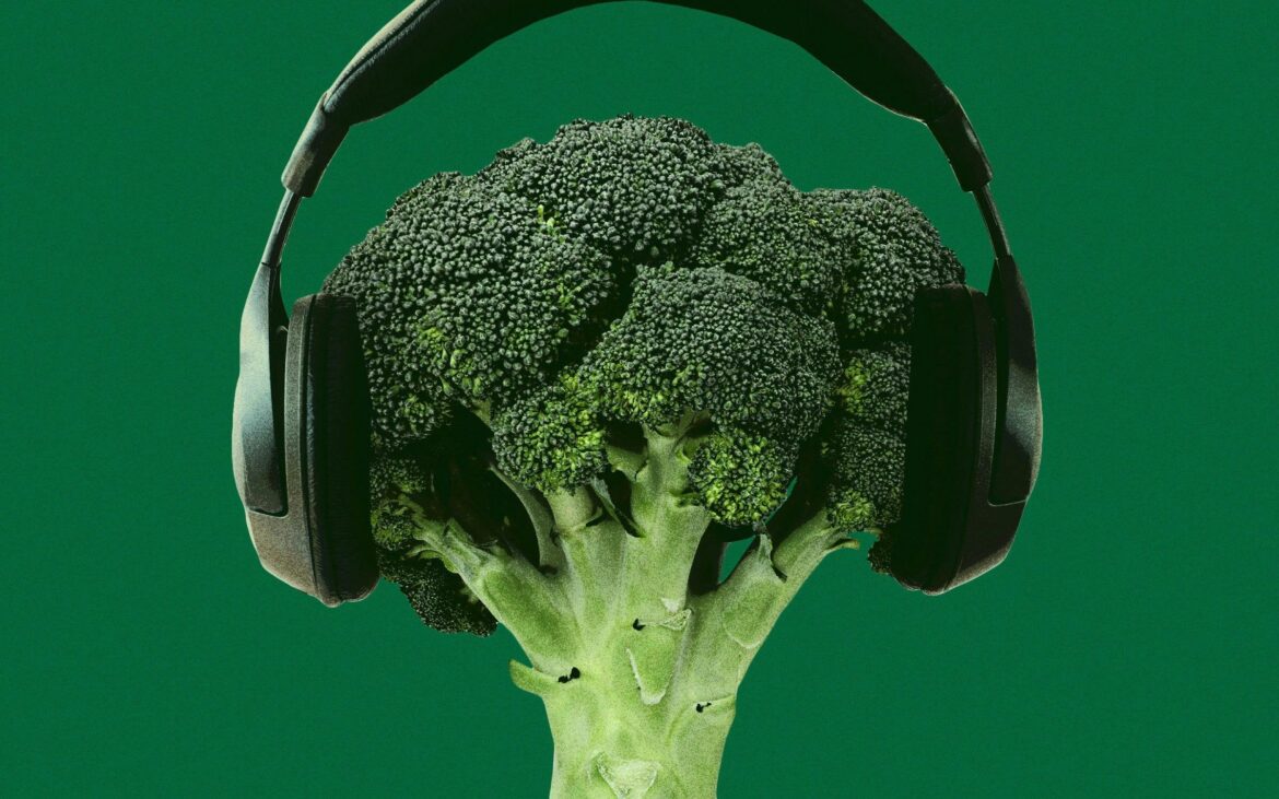 Why You Hear Really Deep Cuts at Central Market