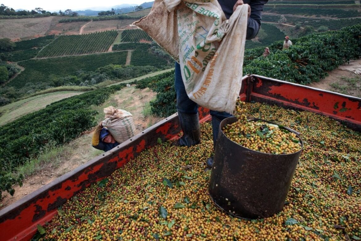 What’s the average price of coffee and tea? Google say $4.80 but I’m seeing $9 at a lot of shops