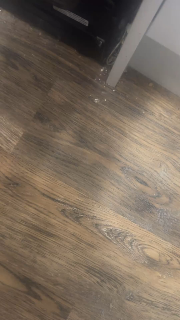 The best Yorkshire puddings and roasts I’ve done. 🩵