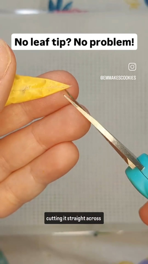 No leaf tip? No problem!