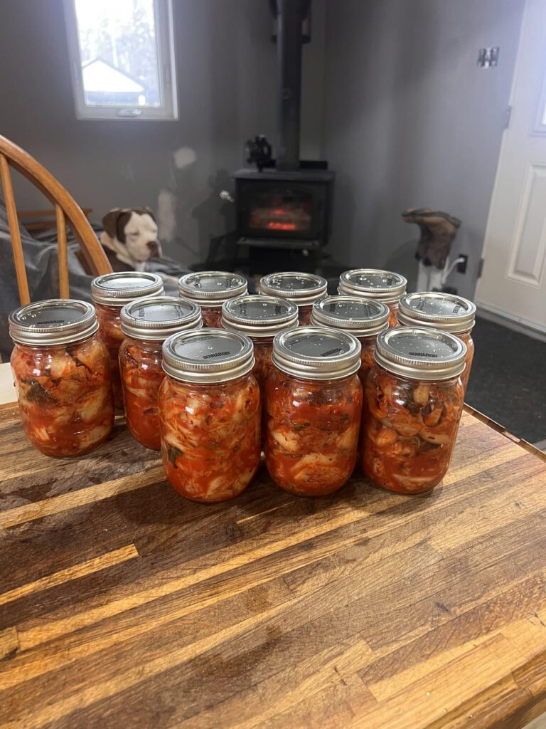 Homemade Carolina Reaper Kimchi