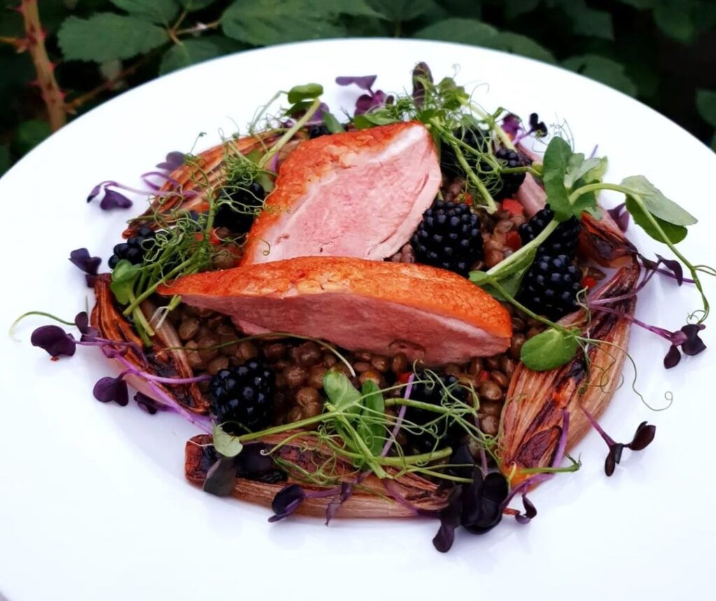 Poncy duck in a nest of garden stuff