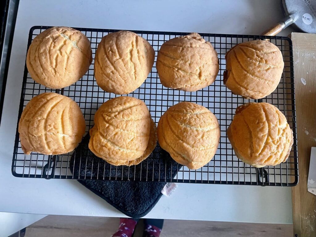 I made conchas. I made conchas.