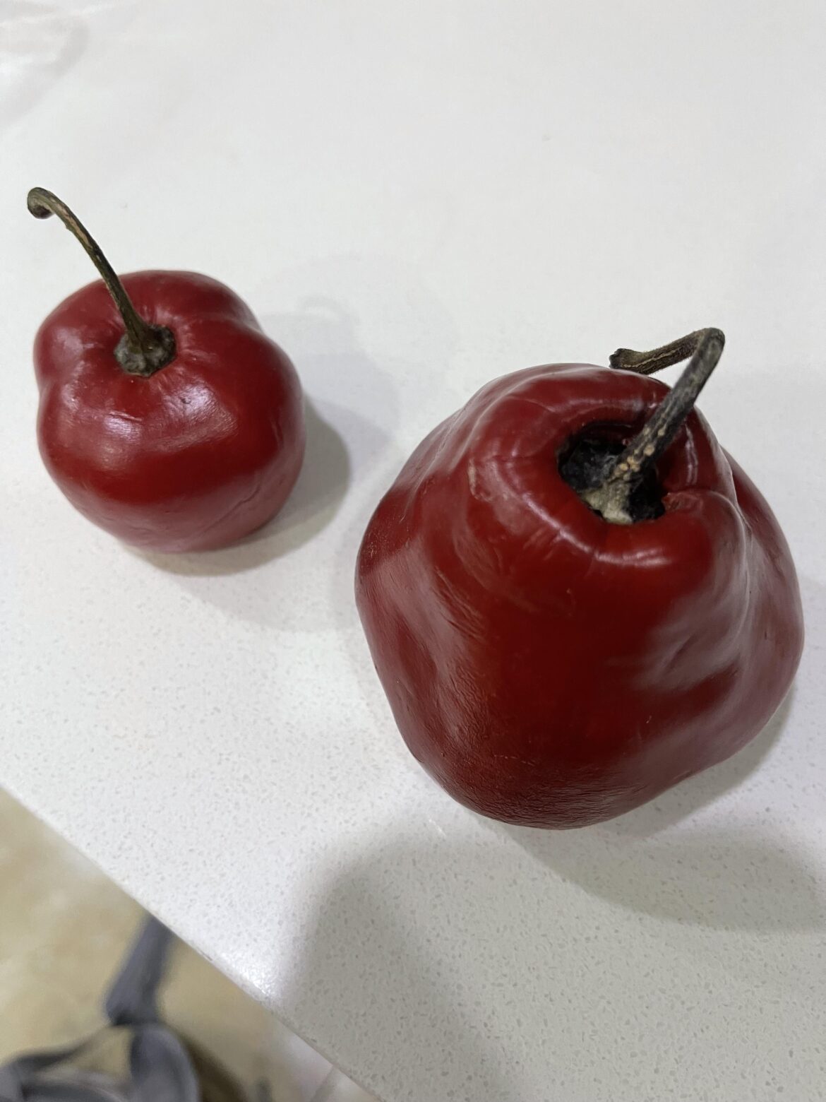 Can anybody tell me what are these peppers? Can anybody tell me what are these peppers?