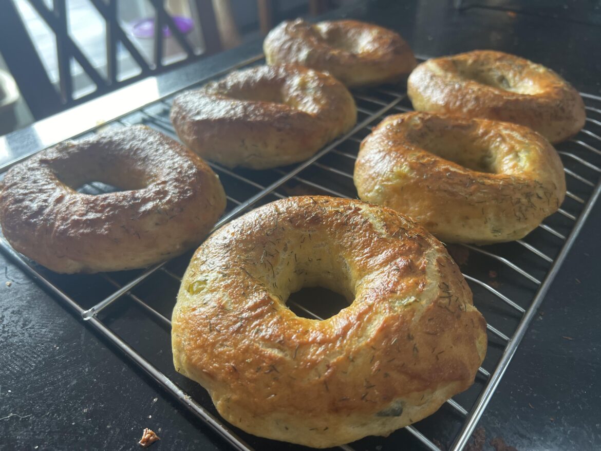 I made 108 bagels this week, several different flavors… and my kids are obsessed with the dill pickle bagels I made. I’m pregnant and dreamed of them, I didn’t think they’d be actually good… 😂🤣
