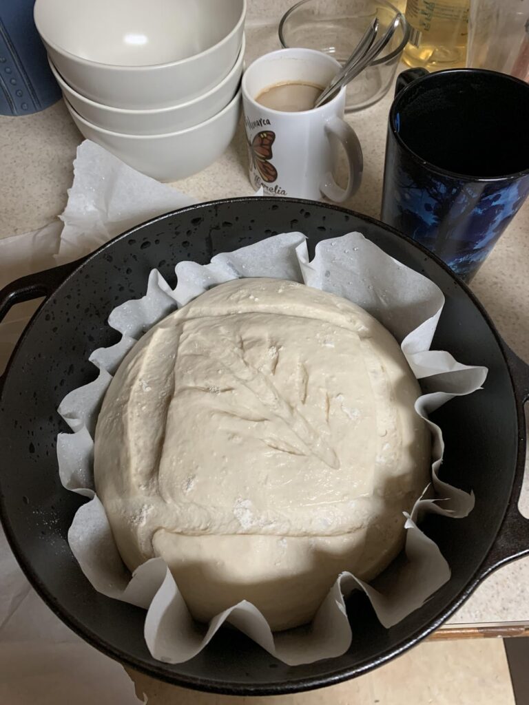 Just got back into baking again after a year or so